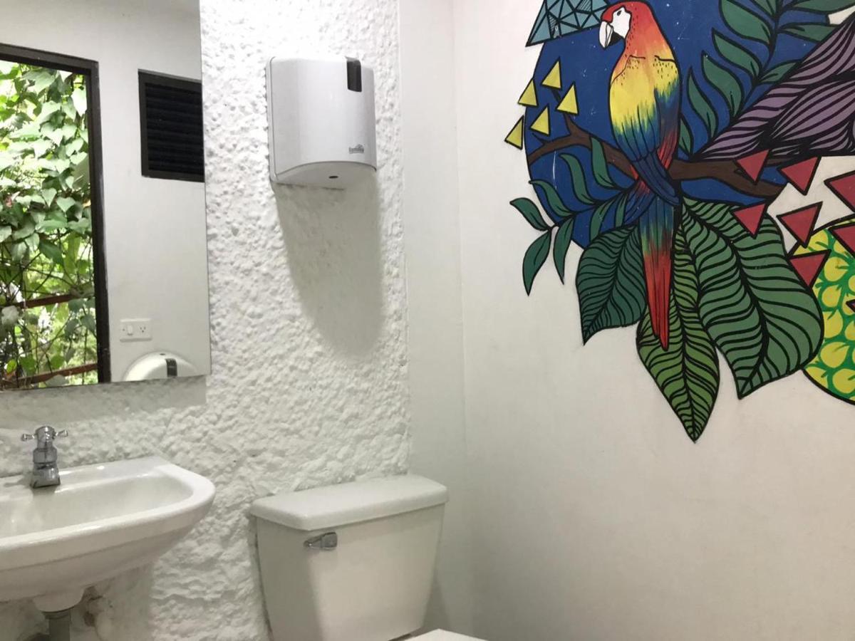 Bambu Glamping Ecolodge Medellin Ngoại thất bức ảnh