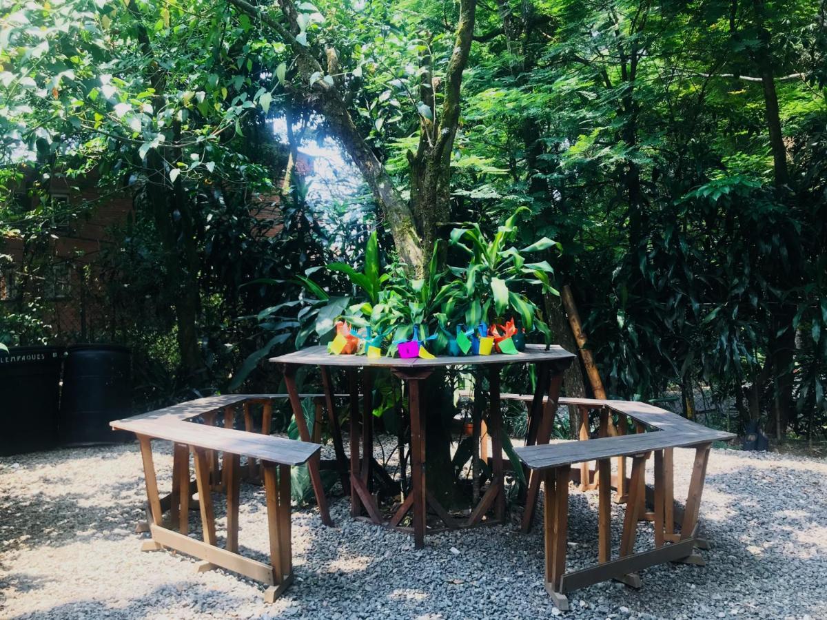 Bambu Glamping Ecolodge Medellin Ngoại thất bức ảnh