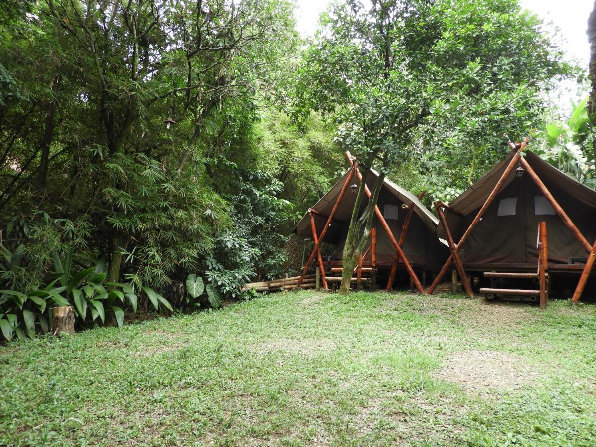 Bambu Glamping Ecolodge Medellin Ngoại thất bức ảnh